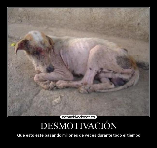 carteles dimebag darrell desmotivaciones