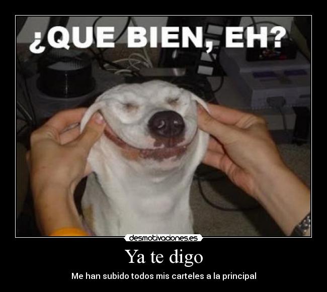 carteles perro joker desmotivaciones