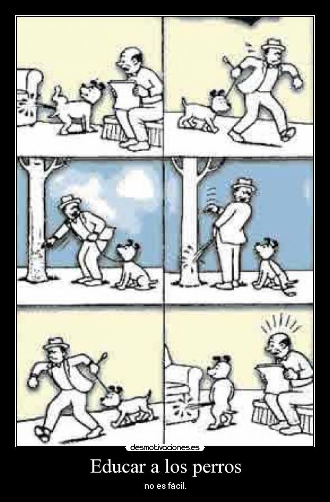Educar a los perros - no es fácil.