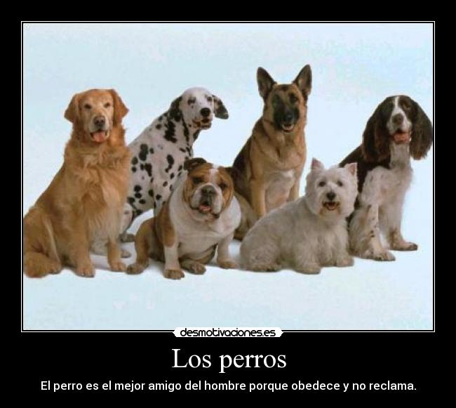 Los perros - El perro es el mejor amigo del hombre porque obedece y no reclama.