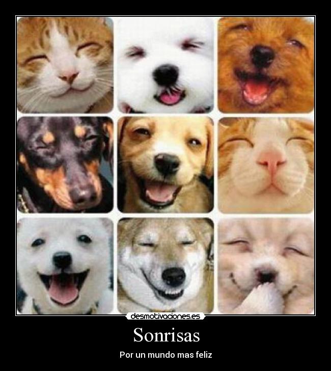 Sonrisas -
