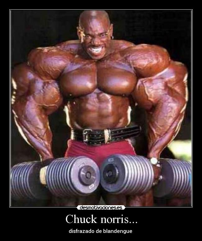 Chuck norris... - disfrazado de blandengue