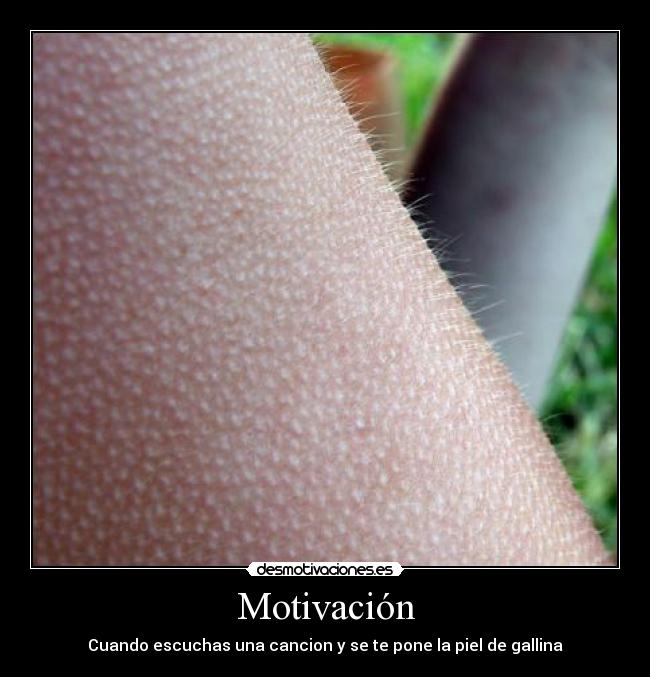 carteles motivacion piel gallina motivar musica desmotivaciones