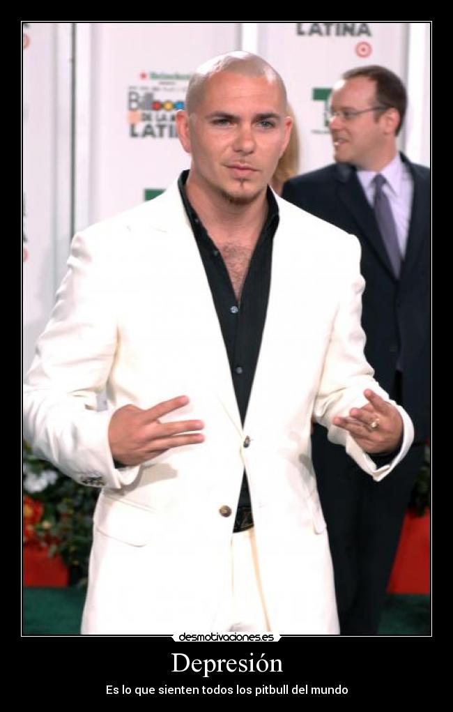 carteles pitbull depresion desmotivaciones