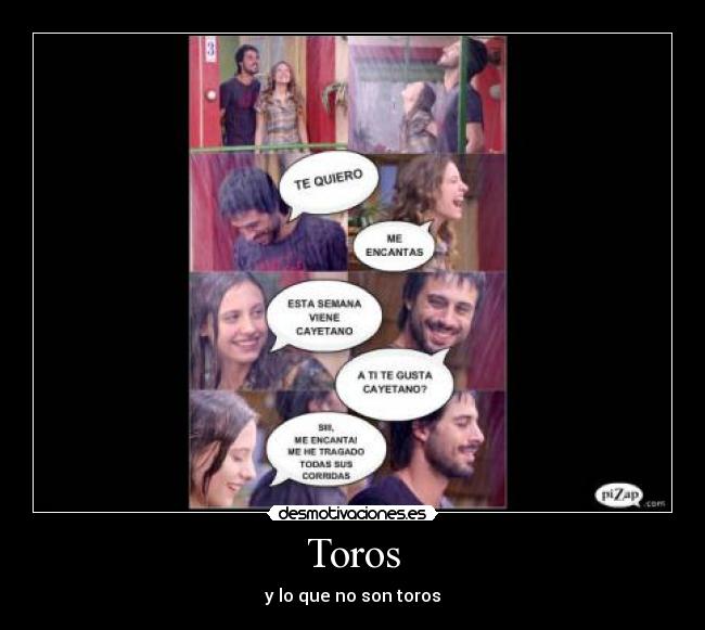 Toros - y lo que no son toros