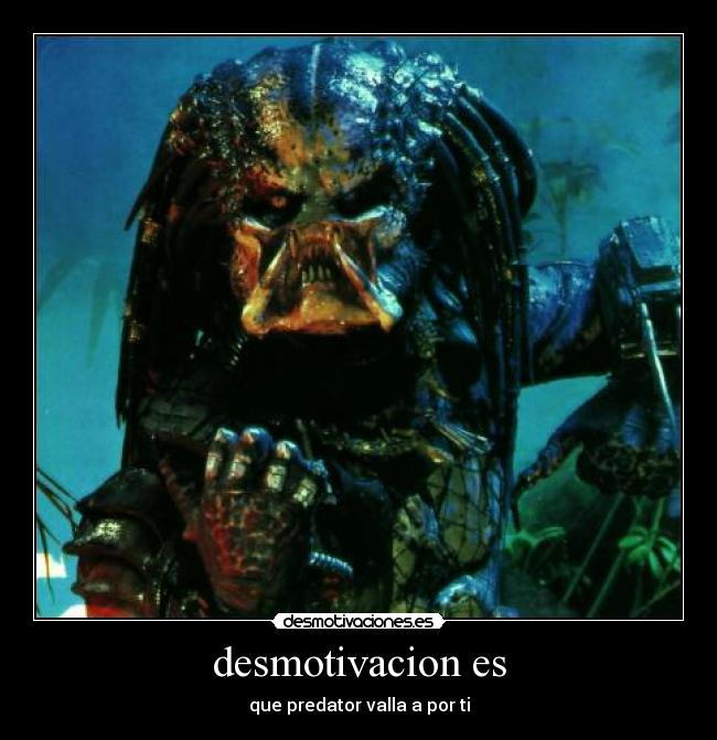 desmotivacion es - que predator valla a por ti