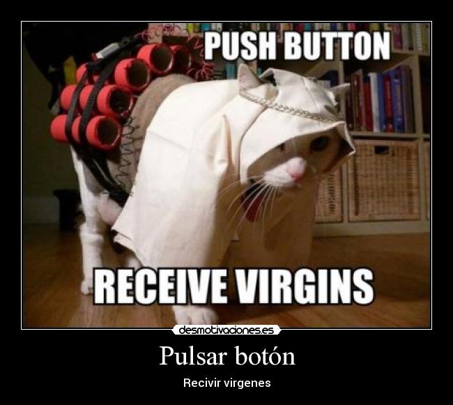 Pulsar botón - 