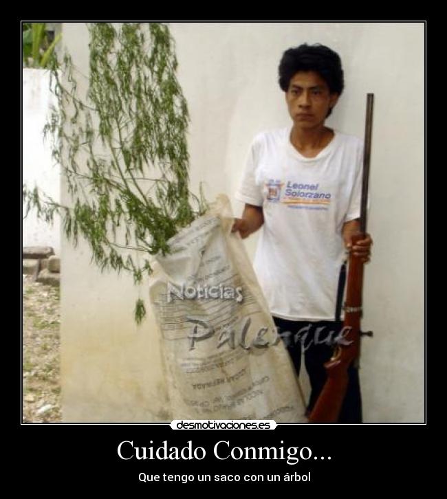 Cuidado Conmigo... - Que tengo un saco con un árbol