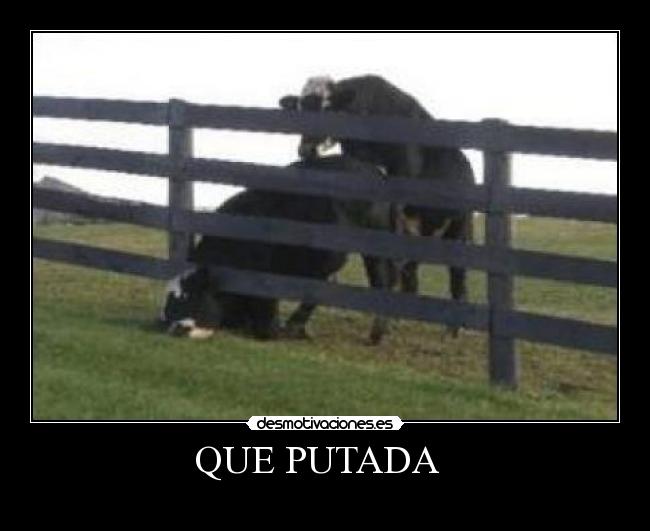 QUE PUTADA -