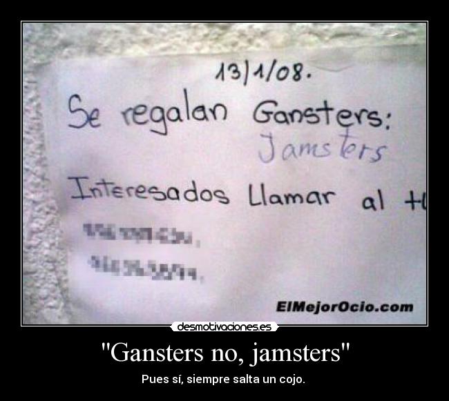 Gansters no, jamsters - Pues sí, siempre salta un cojo.