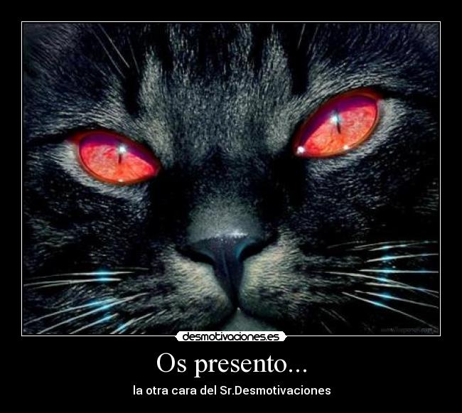 Os presento... - 