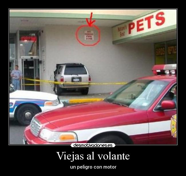 Viejas al volante - 