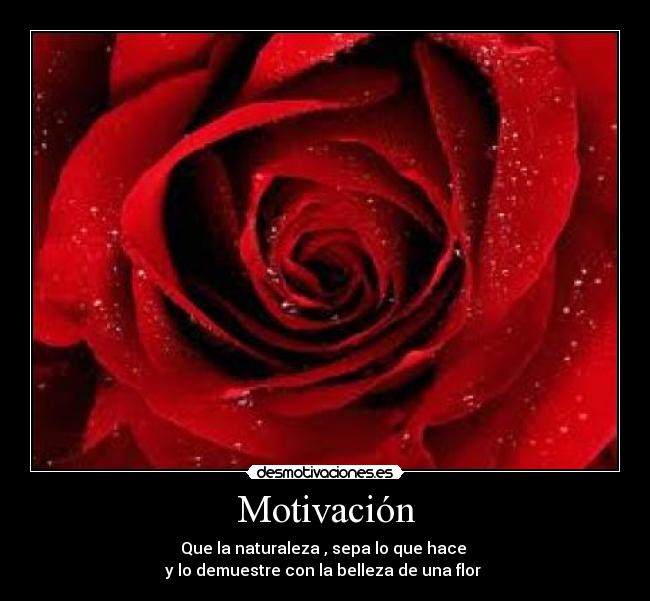 Motivación -