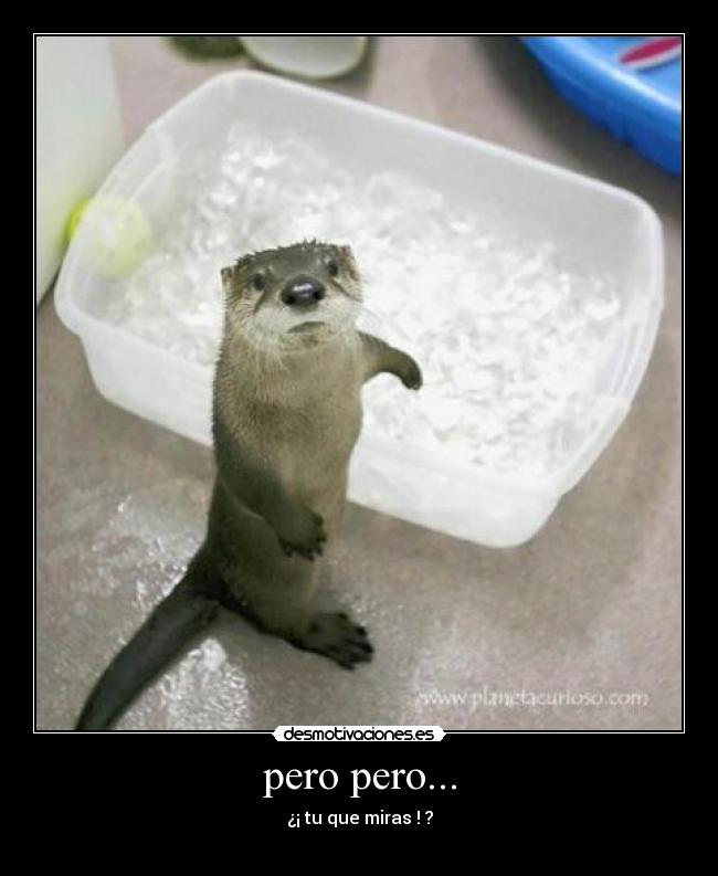 carteles pero que miras desmotivaciones