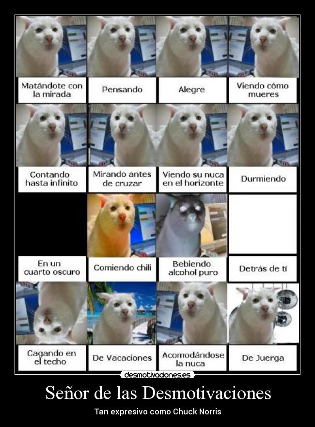 Señor de las Desmotivaciones - Tan expresivo como Chuck Norris