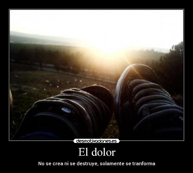 carteles dolor dolor desmotivaciones