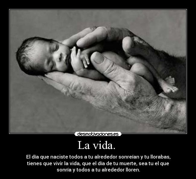 carteles vida vida desmotivaciones