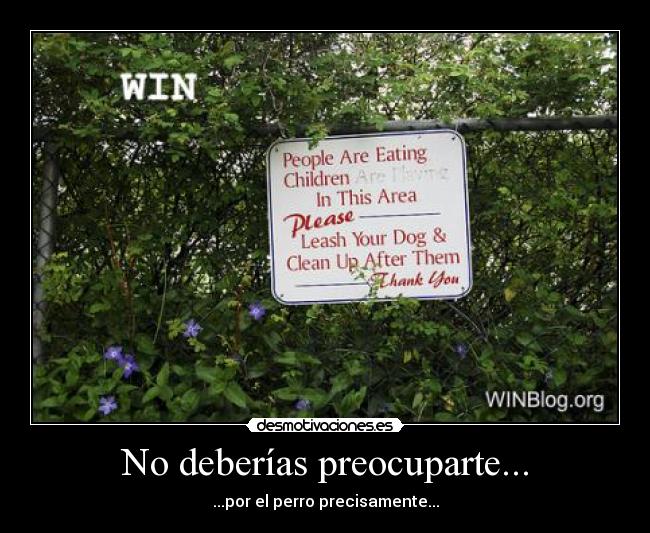 carteles perro win desmotivaciones