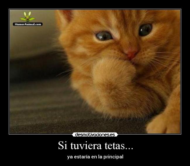 Si tuviera tetas... -