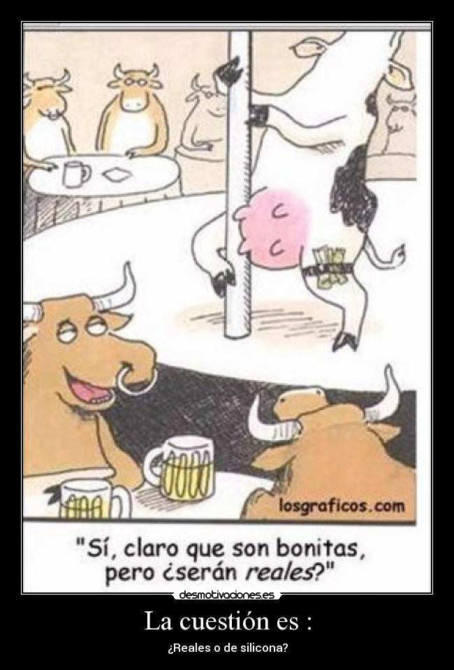 La cuestión es : - ¿Reales o de silicona?