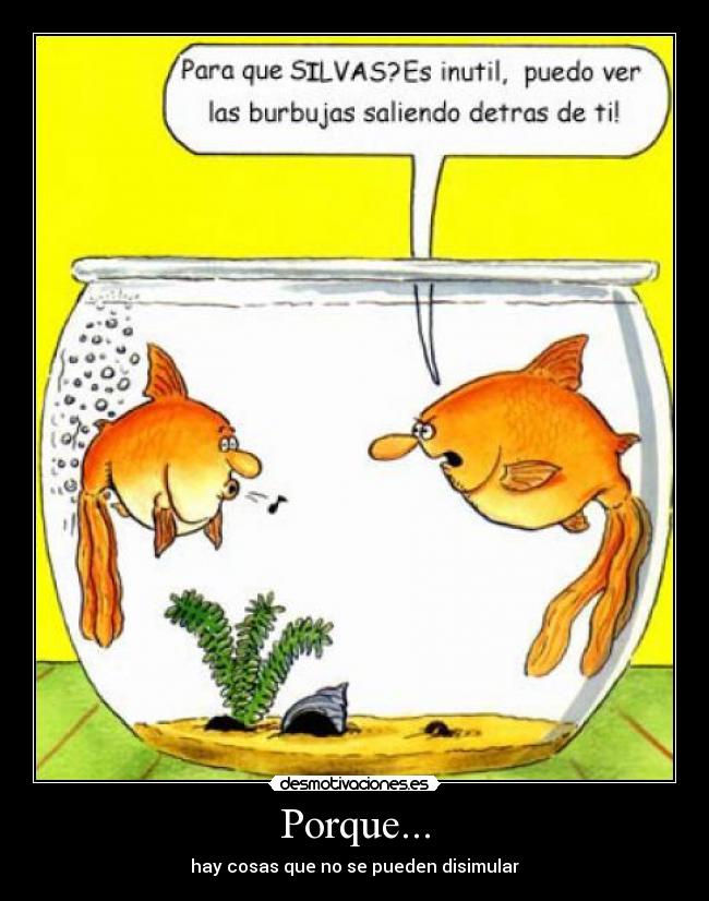 Porque... -