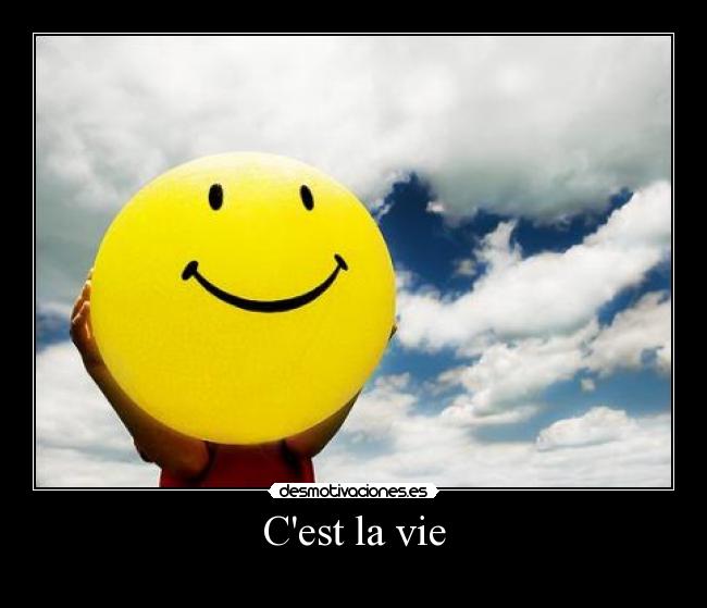 carteles vida desmotivaciones