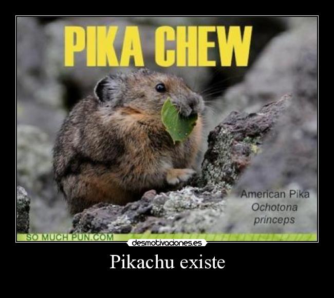 Pikachu existe -