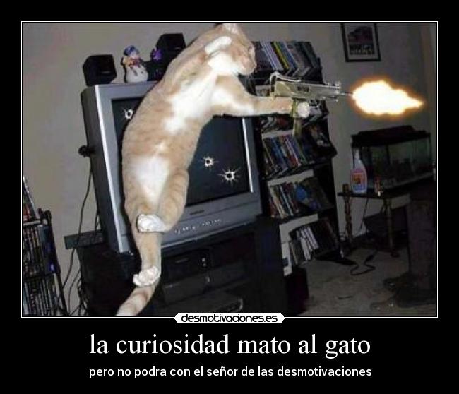 la curiosidad mato al gato - 