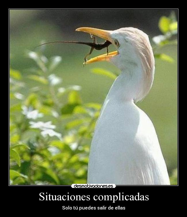 Situaciones complicadas - 