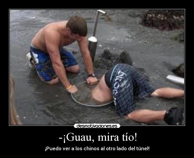 carteles -guau mira tio desmotivaciones