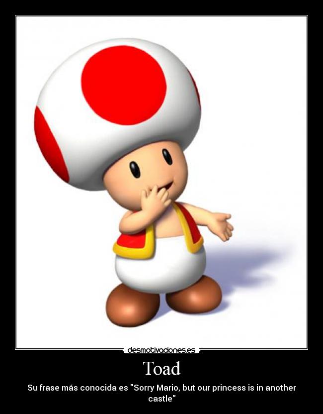 Toad - 