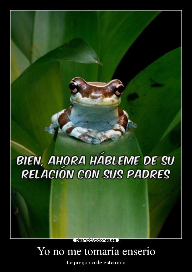 carteles ranita desmotivaciones