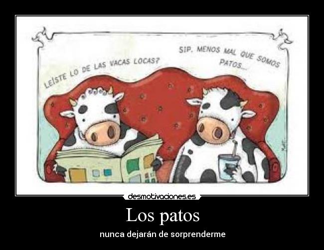 carteles humor desmotivaciones