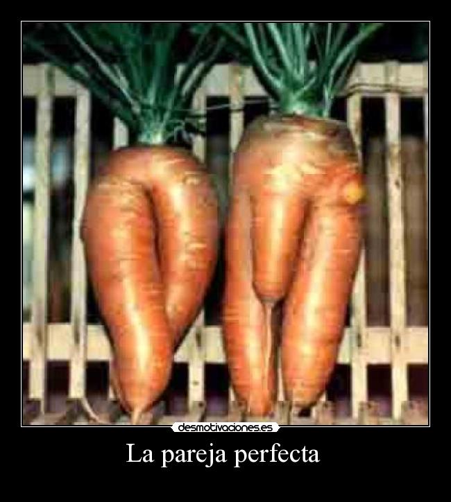 La pareja perfecta -