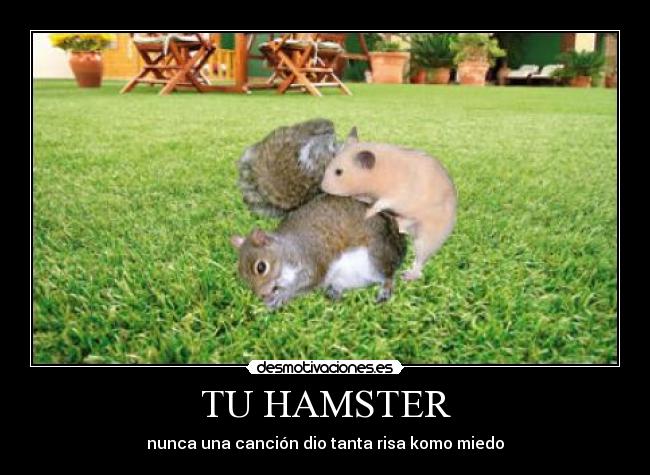 TU HAMSTER -