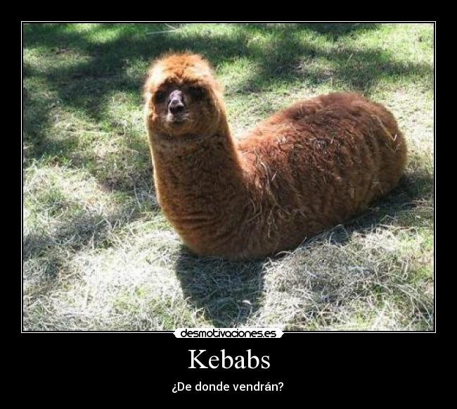 Kebabs - 