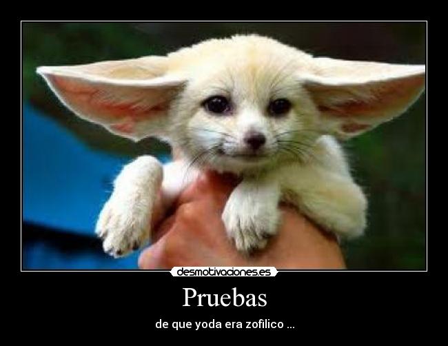Pruebas -