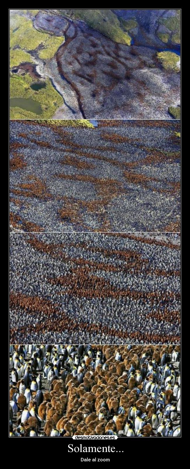 Solamente... - Dale al zoom