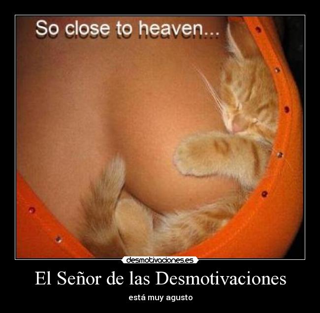 El Señor de las Desmotivaciones -