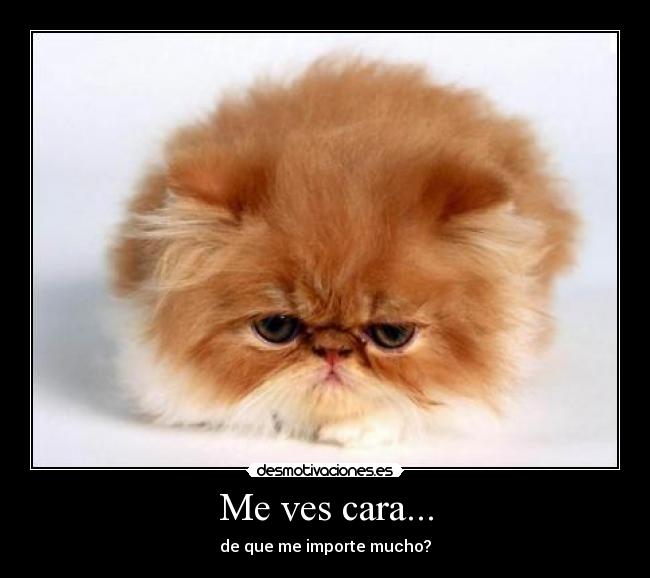 Me ves cara... - 