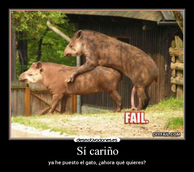 Sí cariño - ya he puesto el gato, ¿ahora qué quieres?