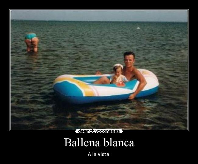 Ballena blanca -