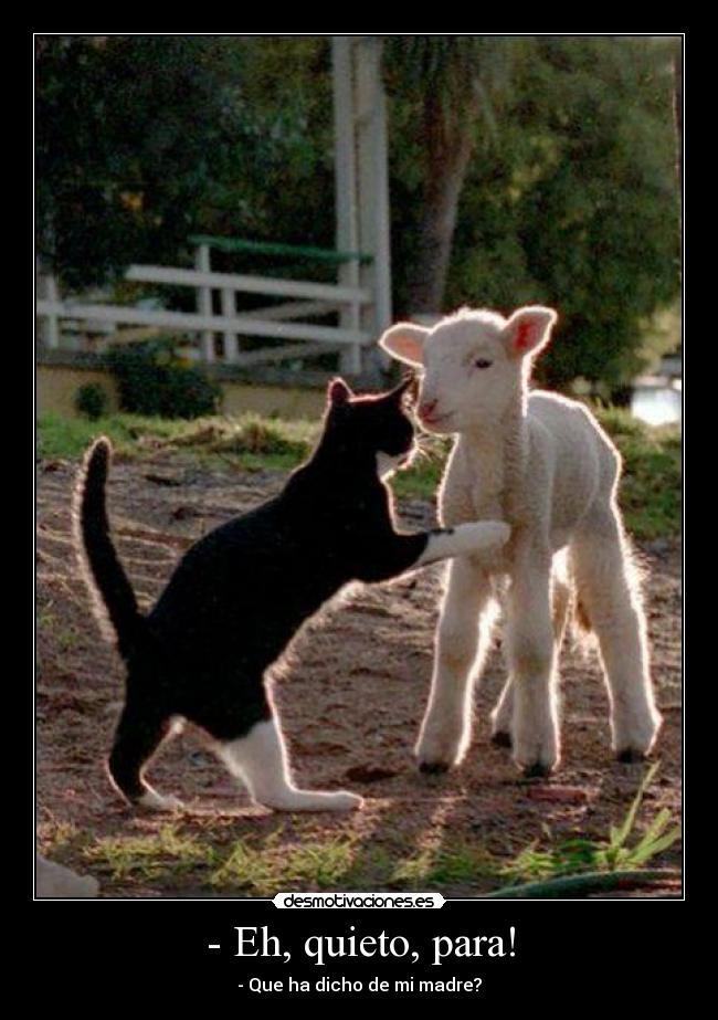 - Eh, quieto, para! -