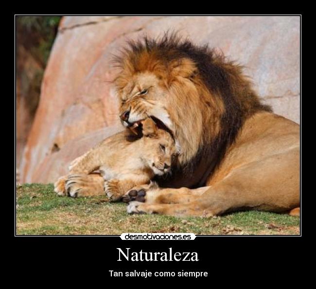 Naturaleza - Tan salvaje como siempre