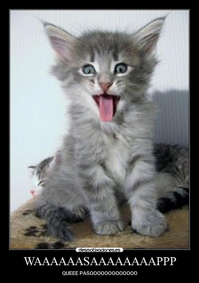 WAAAAAASAAAAAAAAPPP - QUEEE PASOOOOOOOOOOOOO