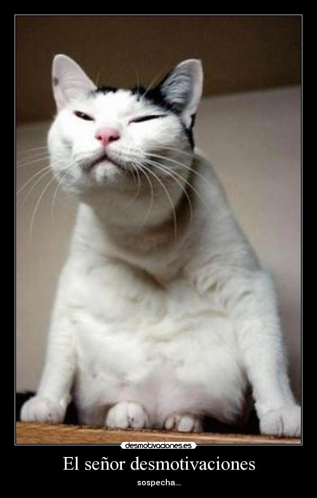 El señor desmotivaciones - sospecha...