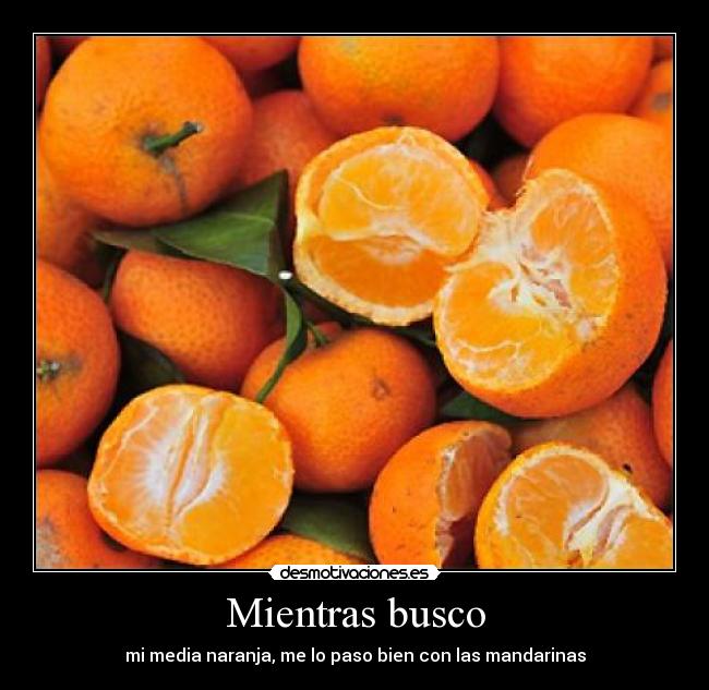 carteles mientras busco media naranja paso bien con las madarinas desmotivaciones