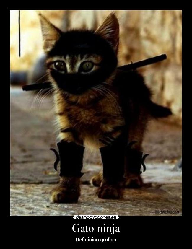 carteles gato ninja desmotivaciones