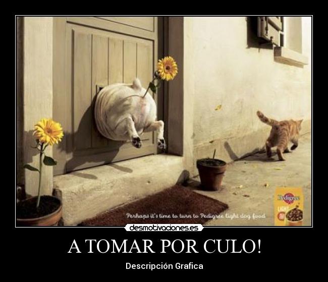A TOMAR POR CULO! - Descripción Grafica