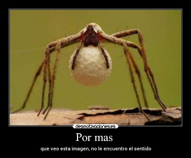 Por mas - que veo esta imagen, no le encuentro el sentido